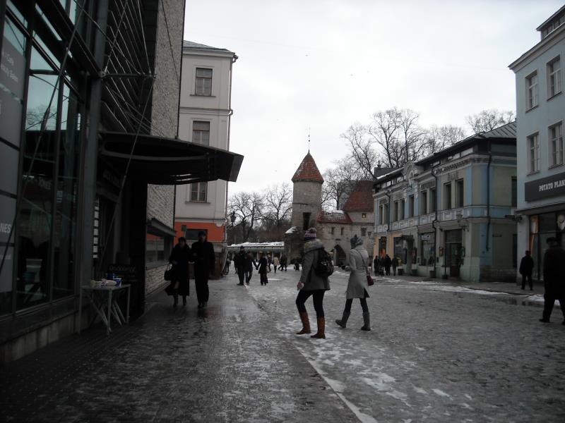 Picture065.jpg